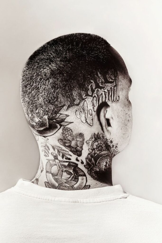 Holy Tiger Black & Grey Flash Cuts 19